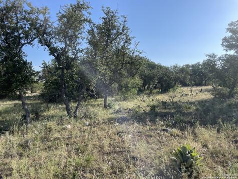 1542 Elm Springs Trail Menard TX 76859