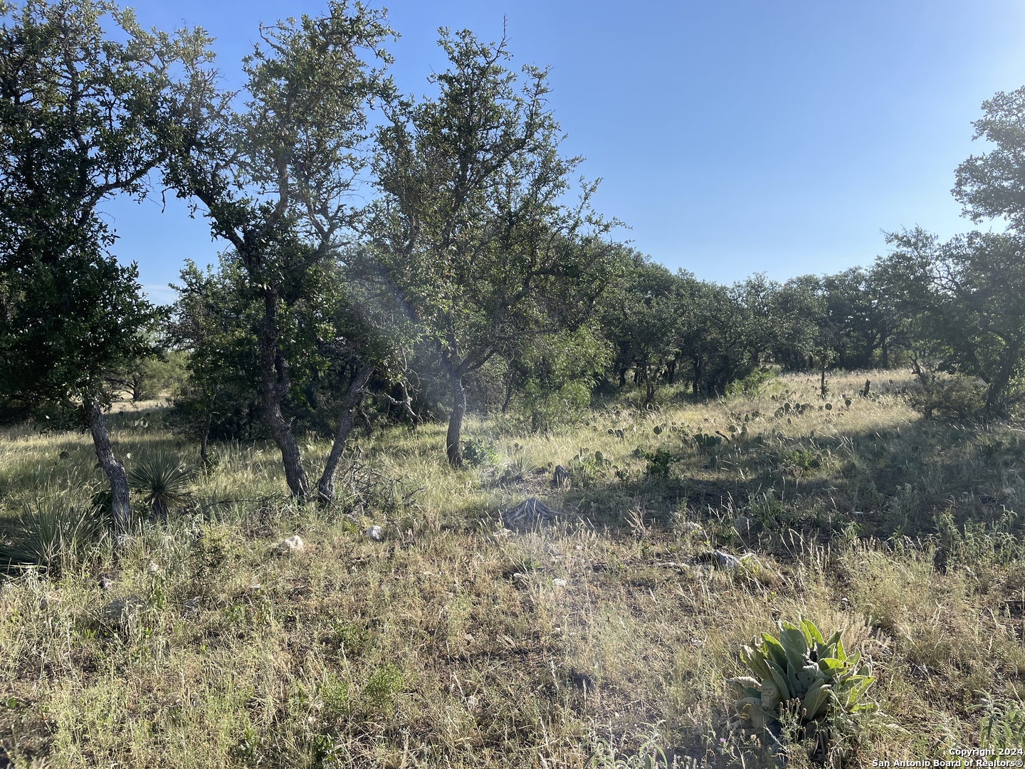 1542 Elm Springs Trail Menard TX 76859