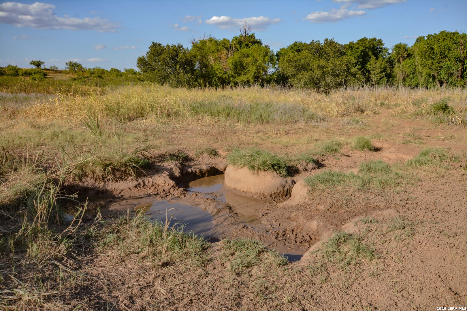 Tbd Cr 404 Spur TX 79370