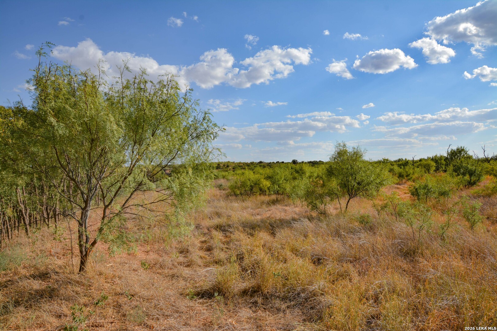 Tbd Cr 404 Spur TX 79370