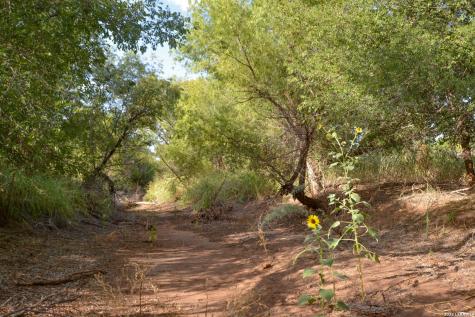 Tbd Cr 404 Spur TX 79370