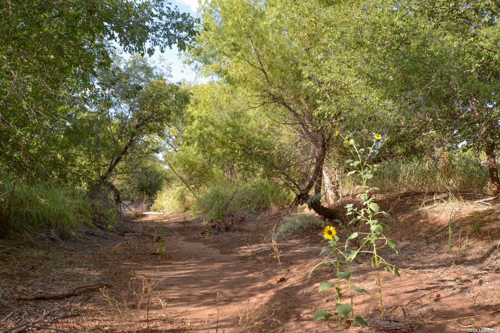 Tbd Cr 404 Spur TX 79370