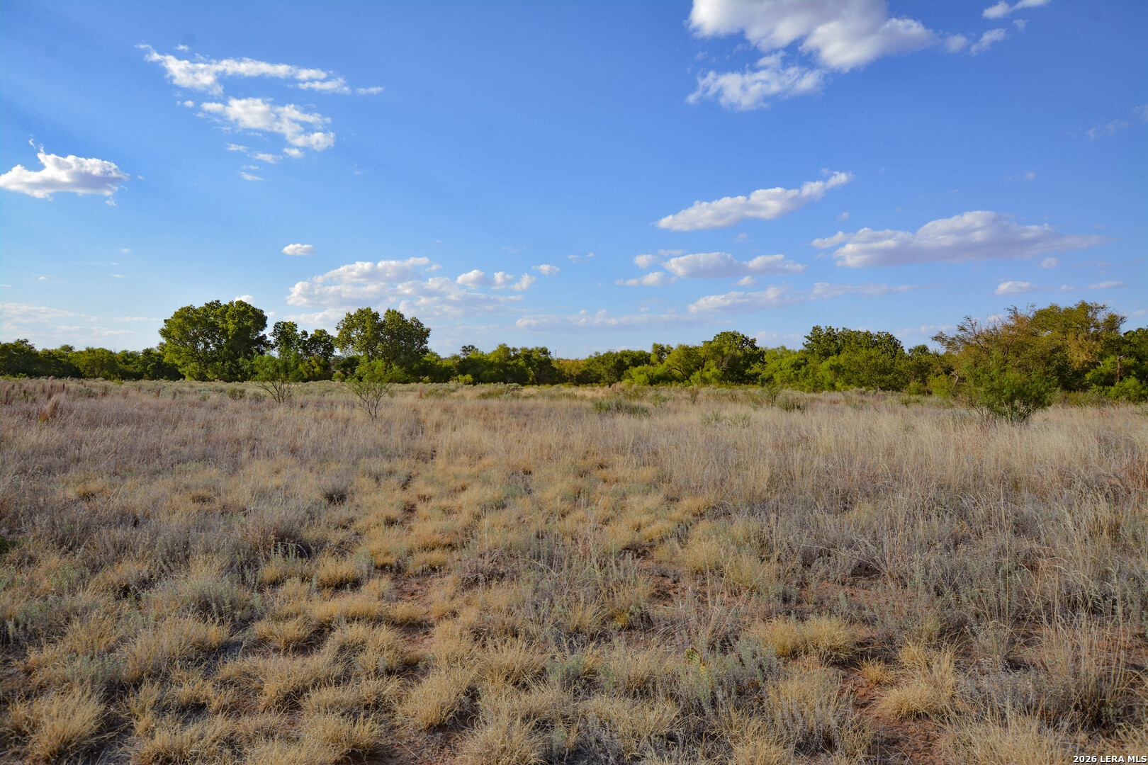 Tbd Cr 404 Spur TX 79370