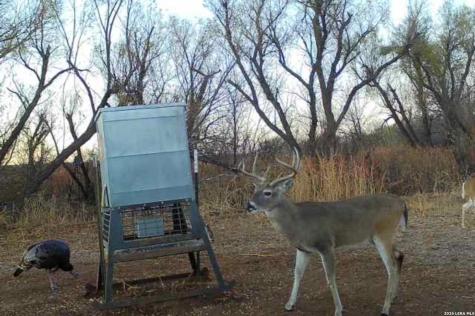 Tbd Cr 404 Spur TX 79370