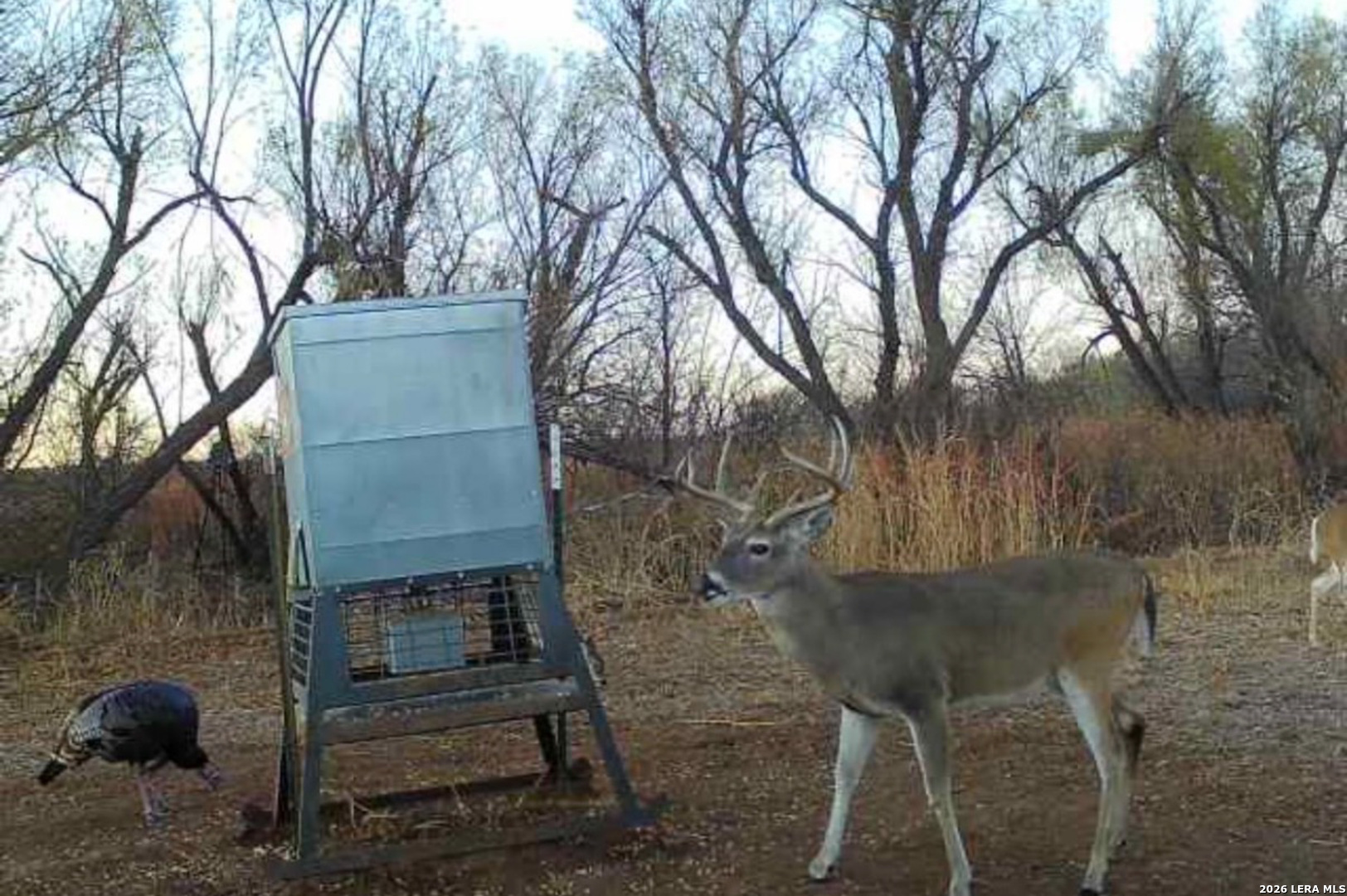 Tbd Cr 404 Spur TX 79370