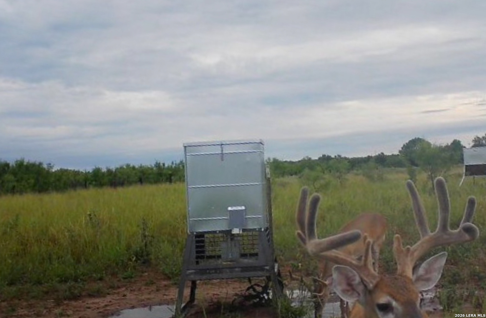 Tbd Cr 404 Spur TX 79370
