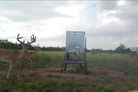 Tbd Cr 404 Spur TX 79370