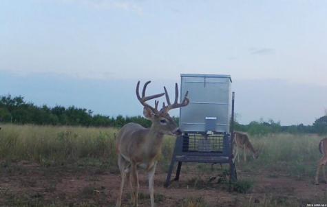 Tbd Cr 404 Spur TX 79370
