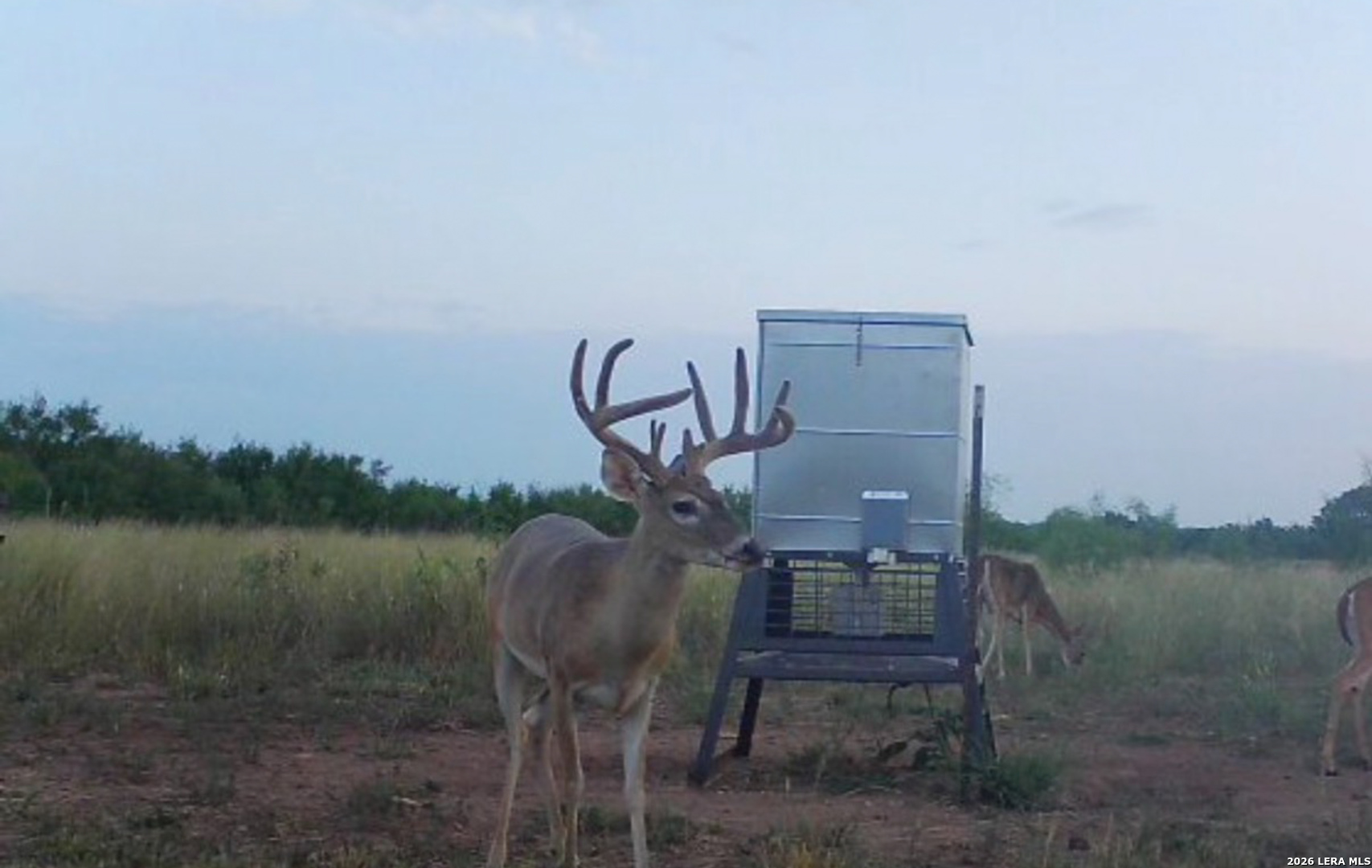 Tbd Cr 404 Spur TX 79370