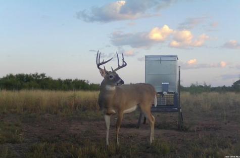 Tbd Cr 404 Spur TX 79370