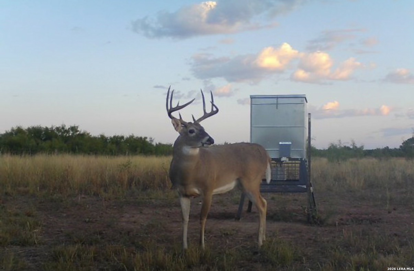 Tbd Cr 404 Spur TX 79370
