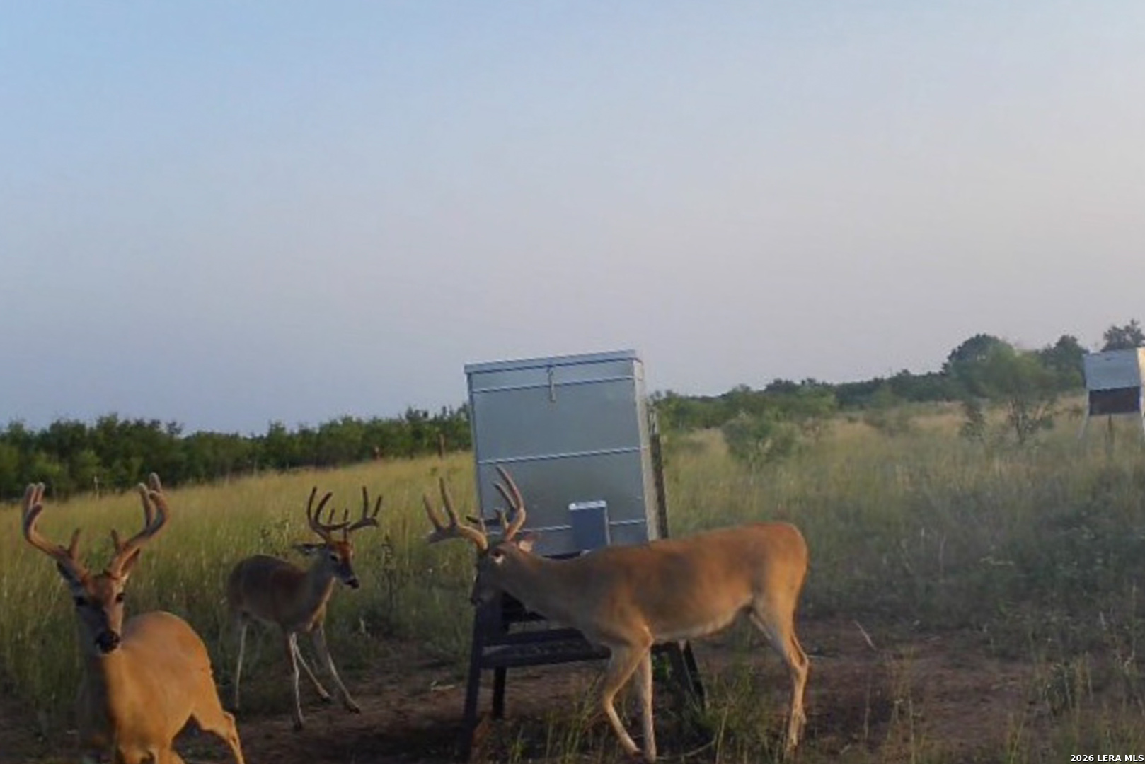 Tbd Cr 404 Spur TX 79370