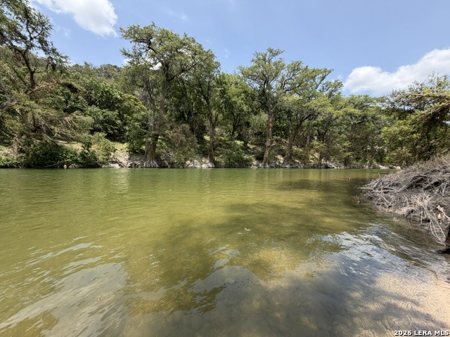 1466 Whispering Water Spring Branch TX 78070