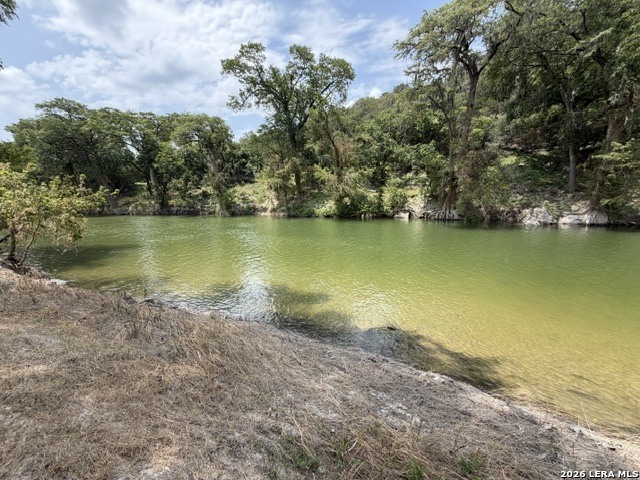1466 Whispering Water Spring Branch TX 78070