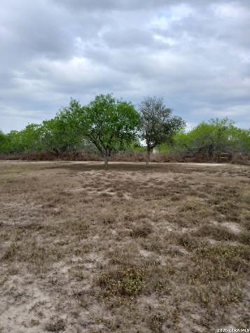 0.00 E. Sullivan Skidmore TX 78389