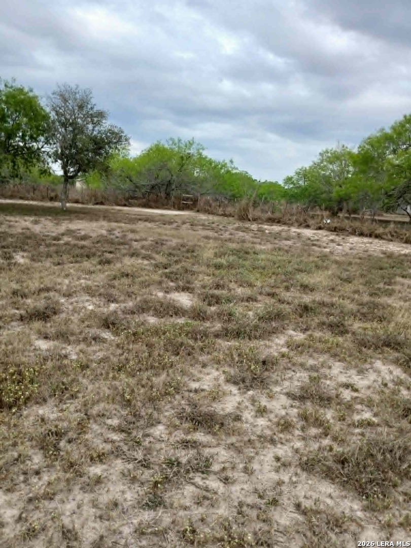 0.00 E. Sullivan Skidmore TX 78389