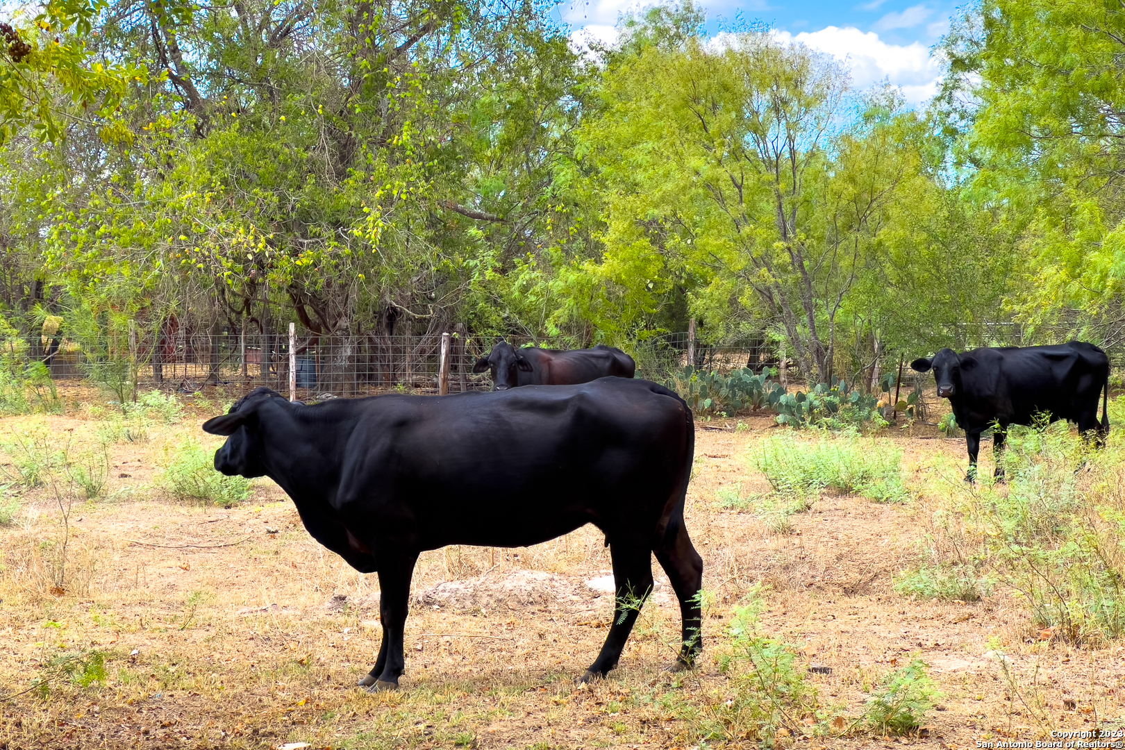15055 S Skaggs Road Atascosa TX 78002