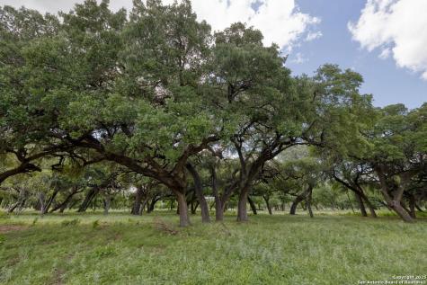 32378 State Highway 55 Uvalde TX 78801