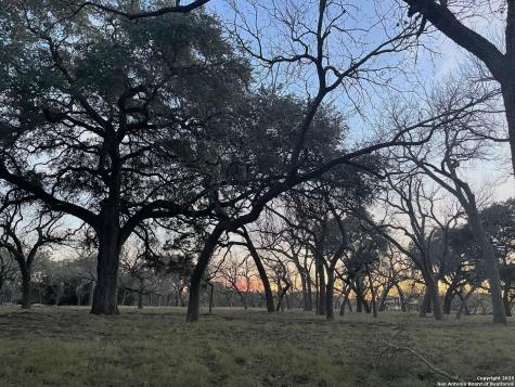 32378 State Highway 55 Uvalde TX 78801