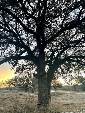 32378 State Highway 55 Uvalde TX 78801