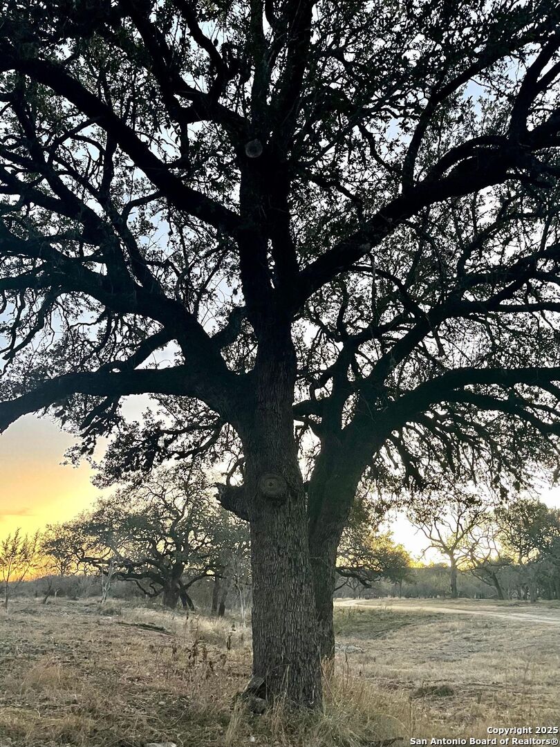 32378 State Highway 55 Uvalde TX 78801