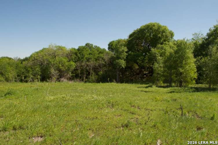 5797 Blacksmith Marion TX 78124