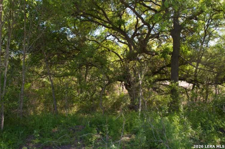 5797 Blacksmith Marion TX 78124
