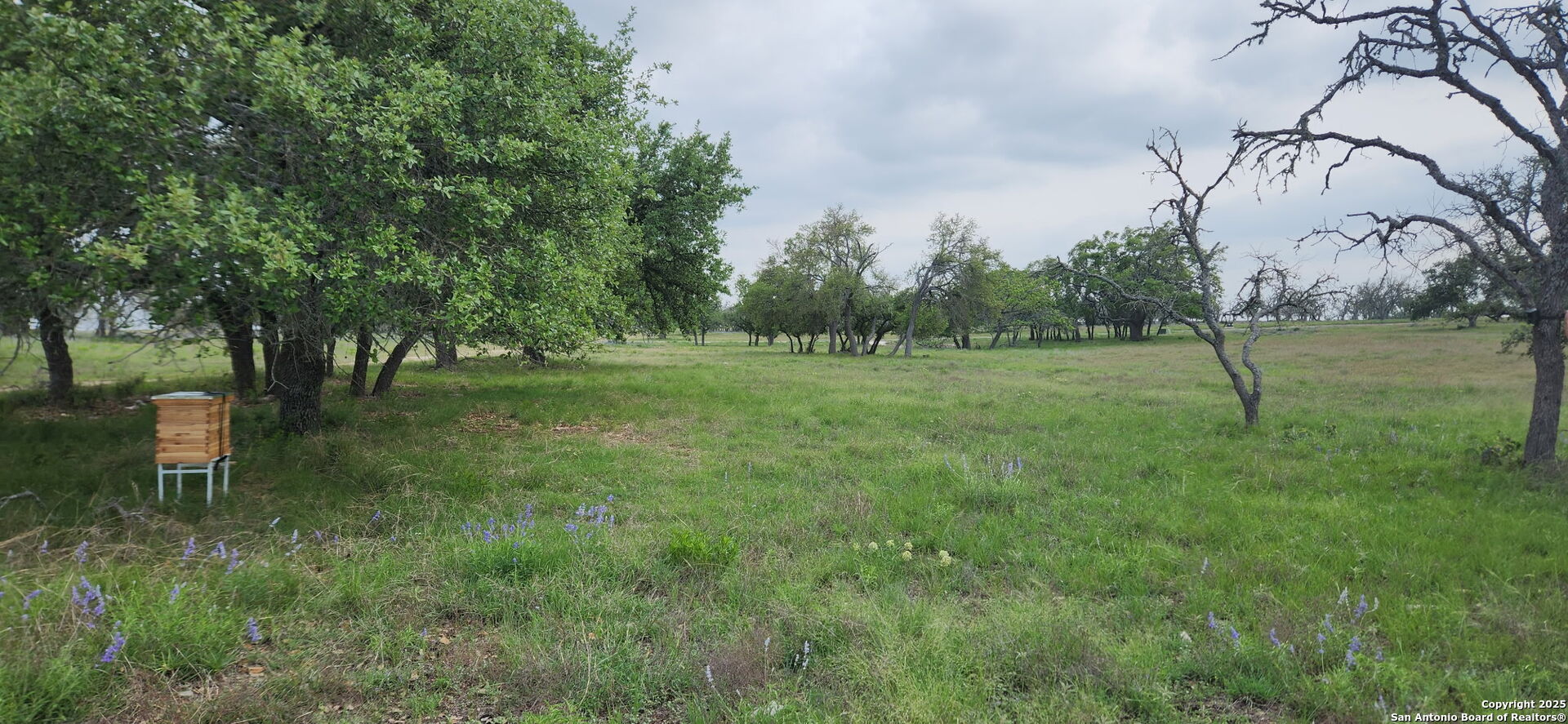 153 Fallow Drive Harper TX 78631