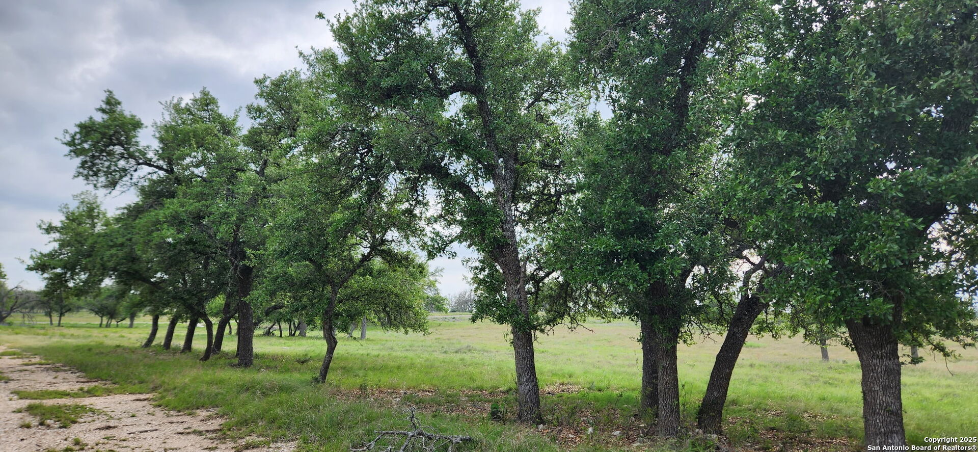 153 Fallow Drive Harper TX 78631