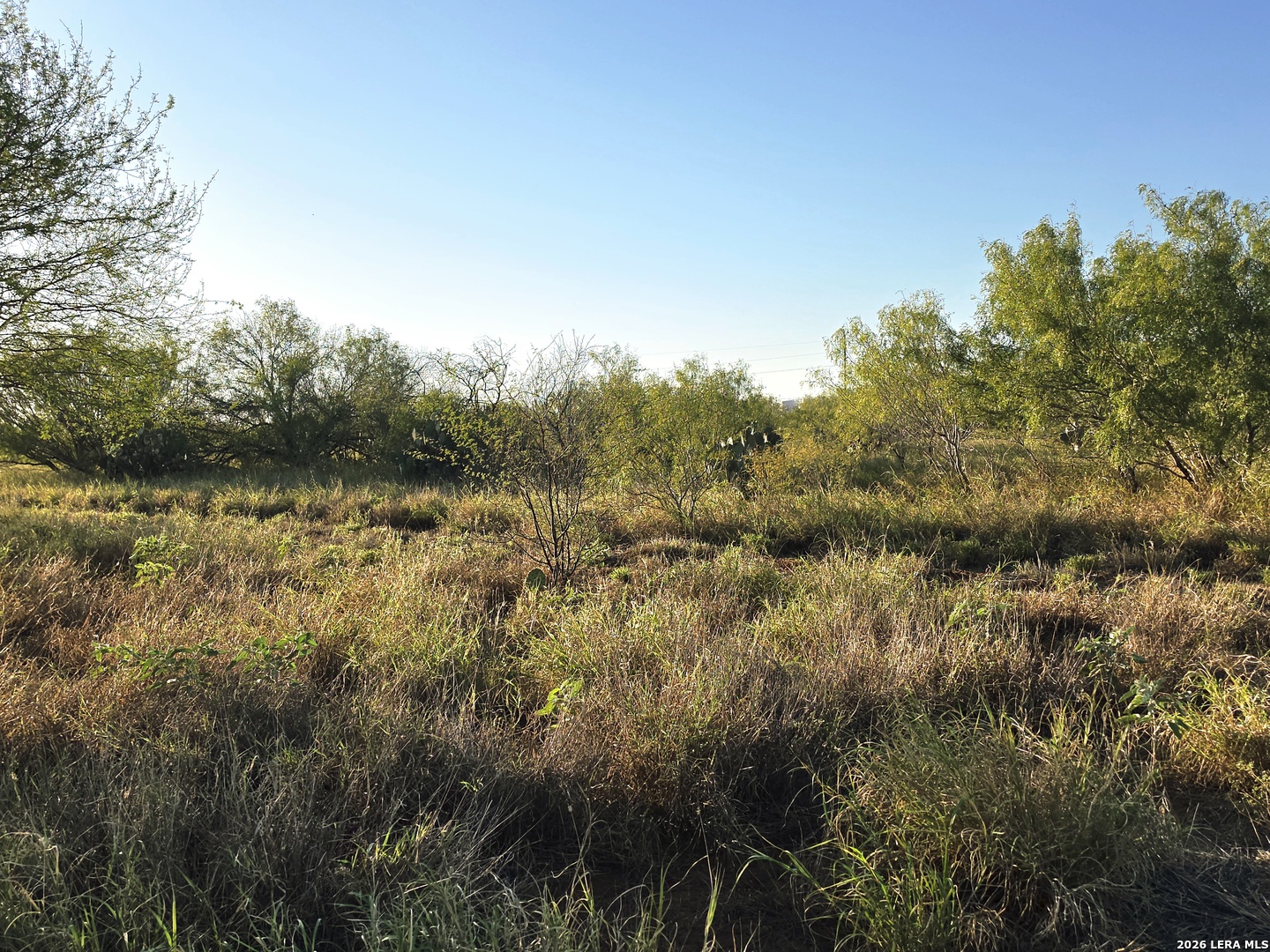 00 American Cotulla TX 78014
