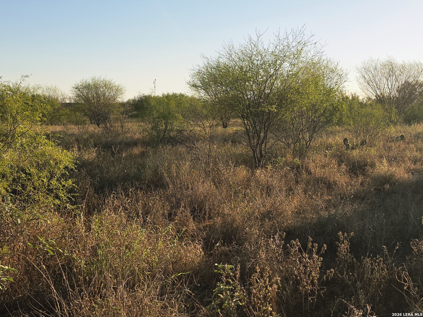 00 American Cotulla TX 78014