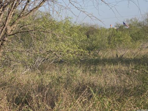 00 American Cotulla TX 78014