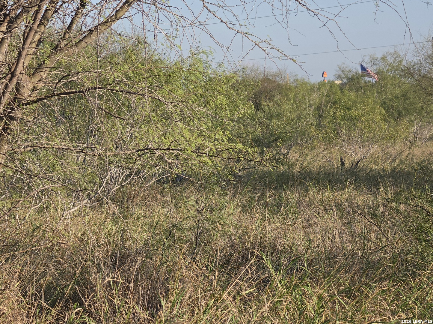 00 American Cotulla TX 78014