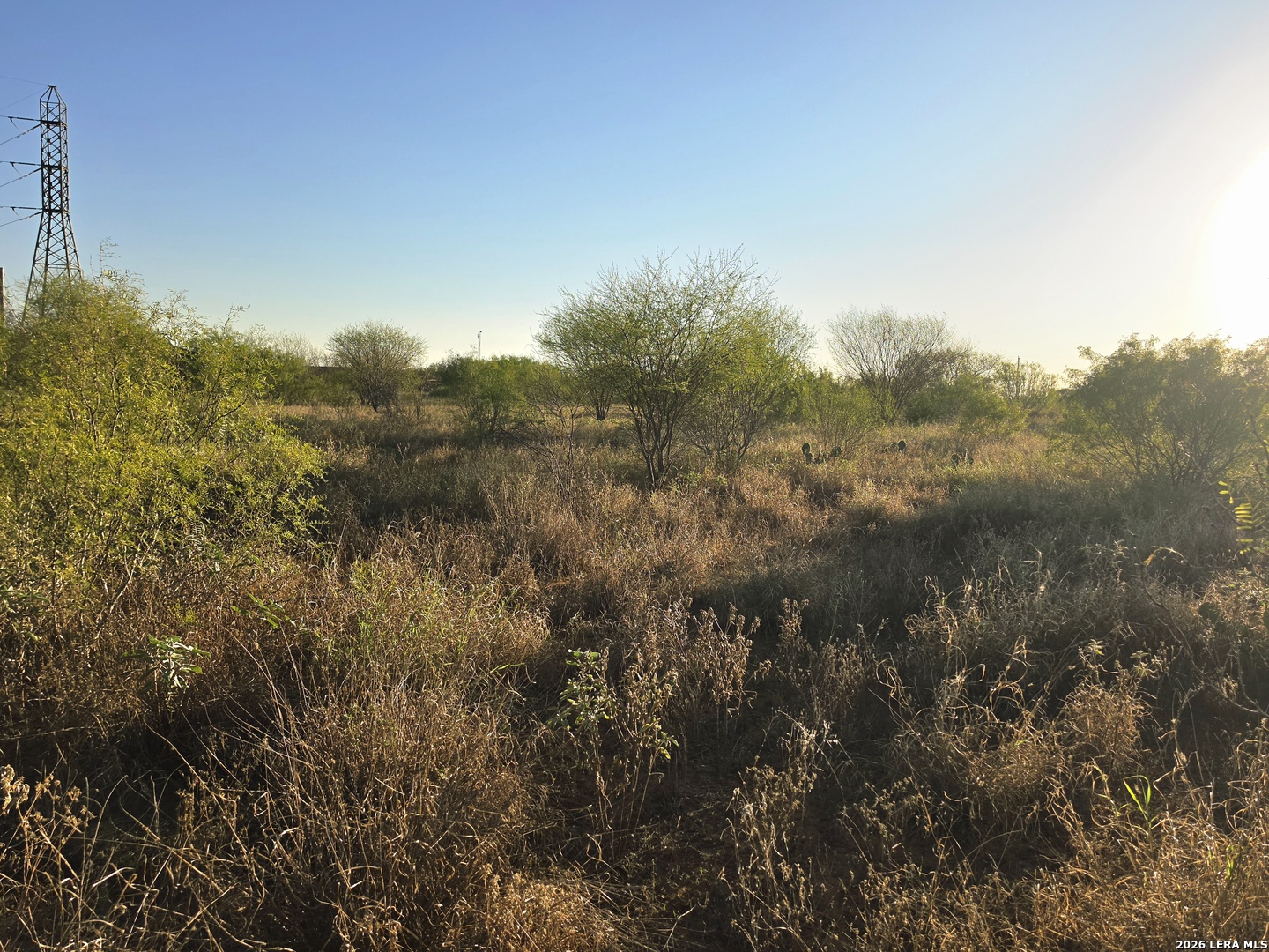 00 American Cotulla TX 78014