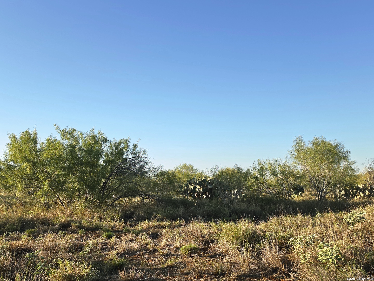 00 American Cotulla TX 78014
