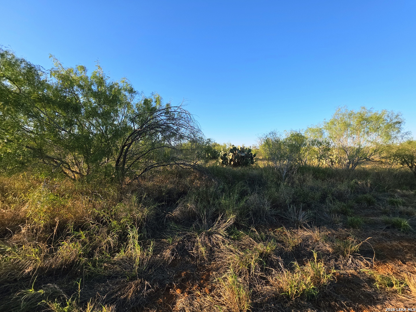 00 American Cotulla TX 78014