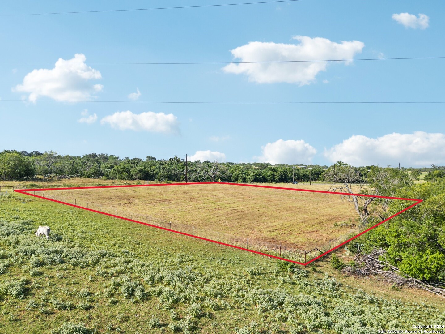 593 County Road 405 Floresville TX 78114