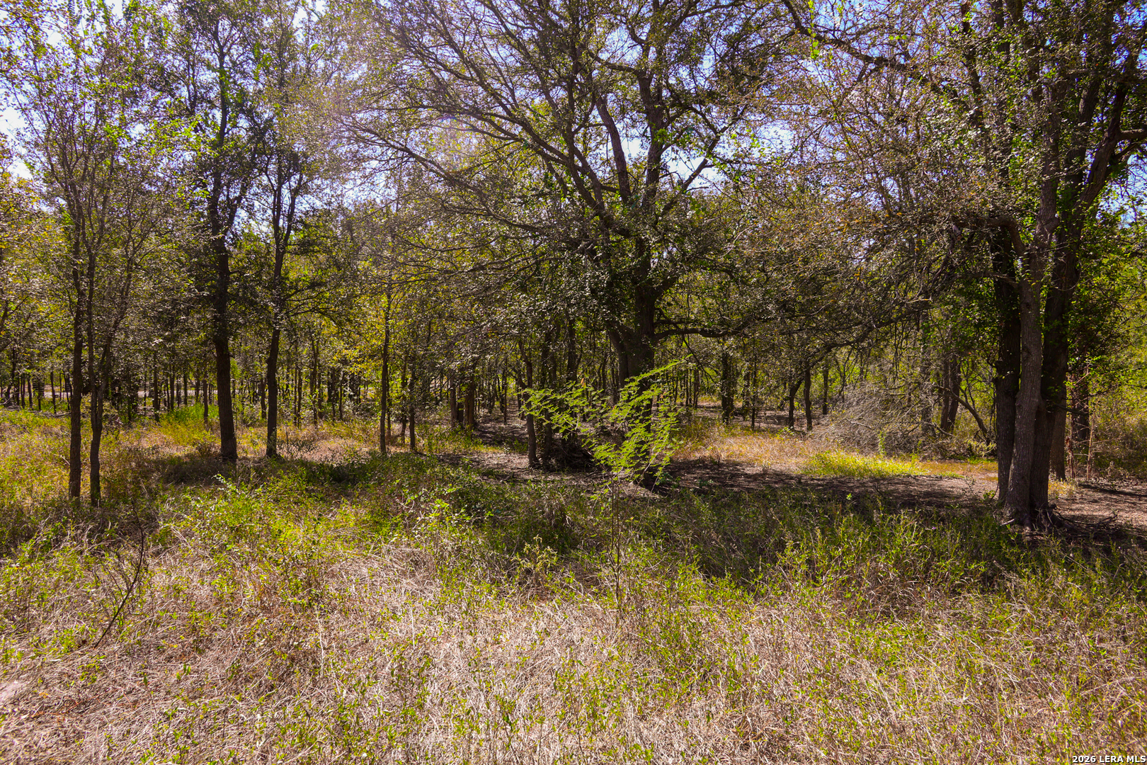 3915 Barth Road Lockhart TX 78644