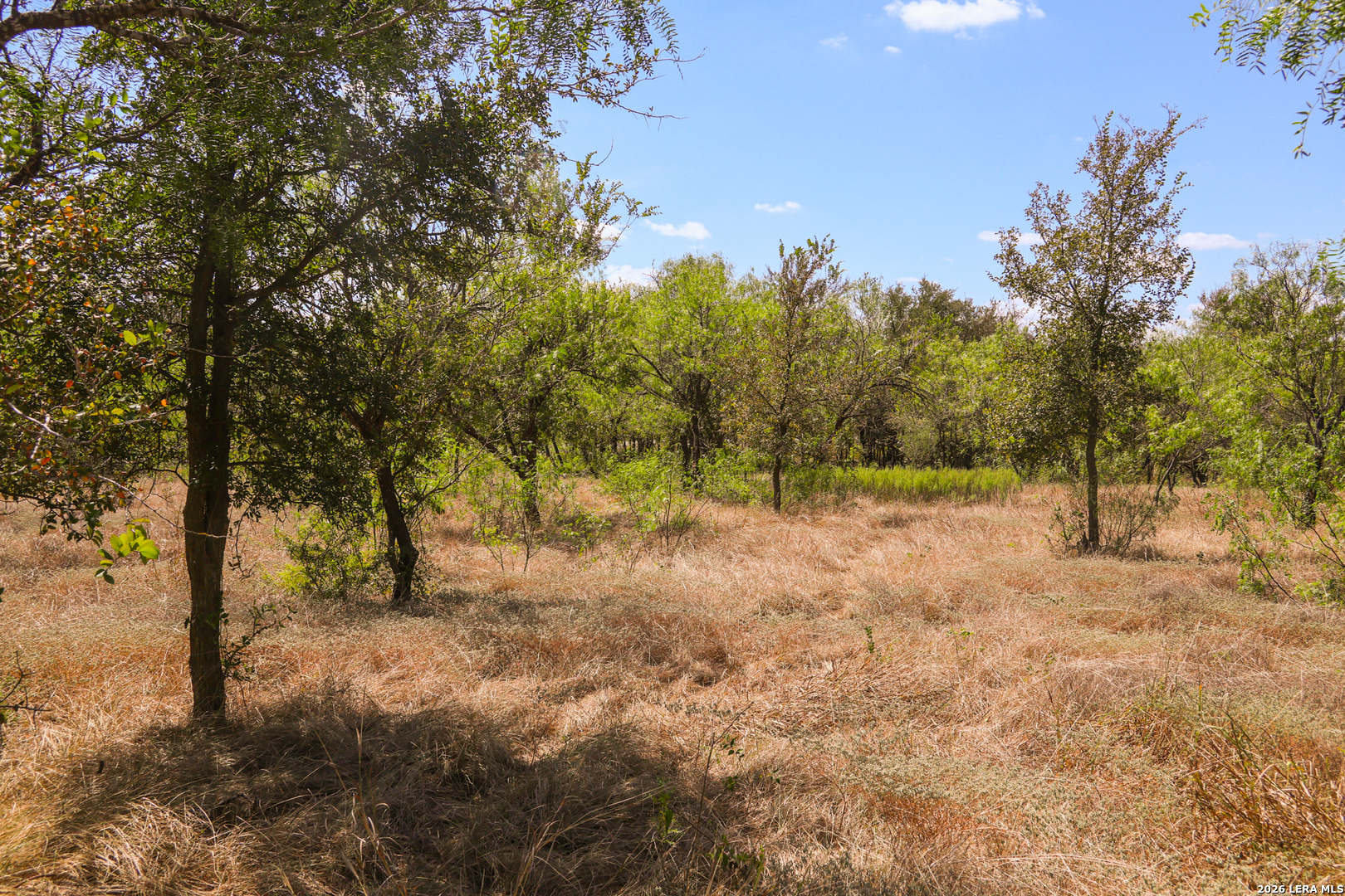 3915 Barth Road Lockhart TX 78644