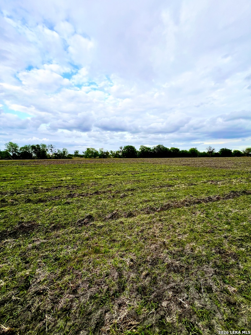 3171 Lower Seguin Marion TX 78124
