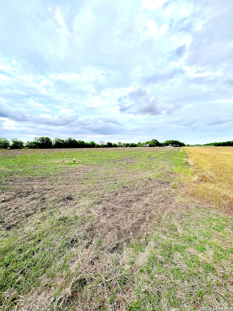 3171 Lower Seguin Marion TX 78124