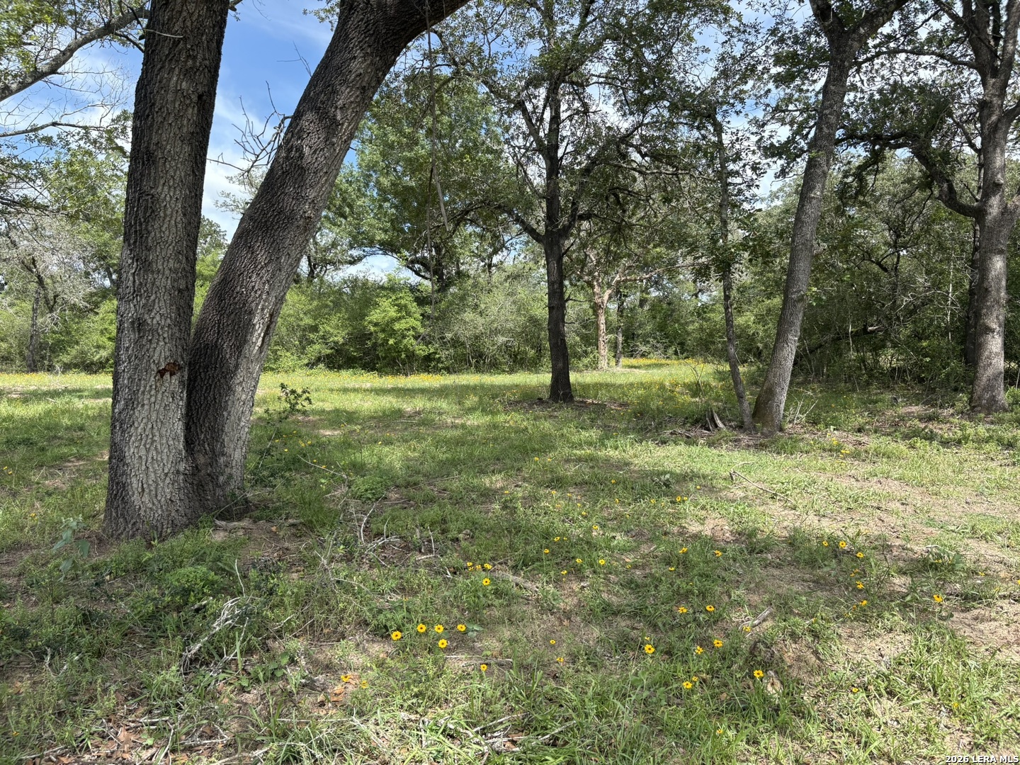 69 Powder Ridge Luling TX 78648