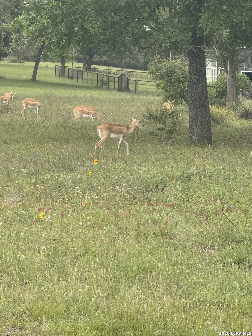 69 Powder Ridge Luling TX 78648
