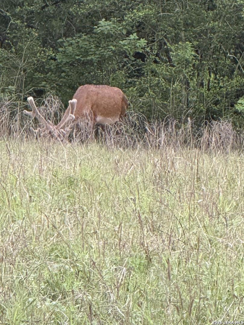 69 Powder Ridge Luling TX 78648