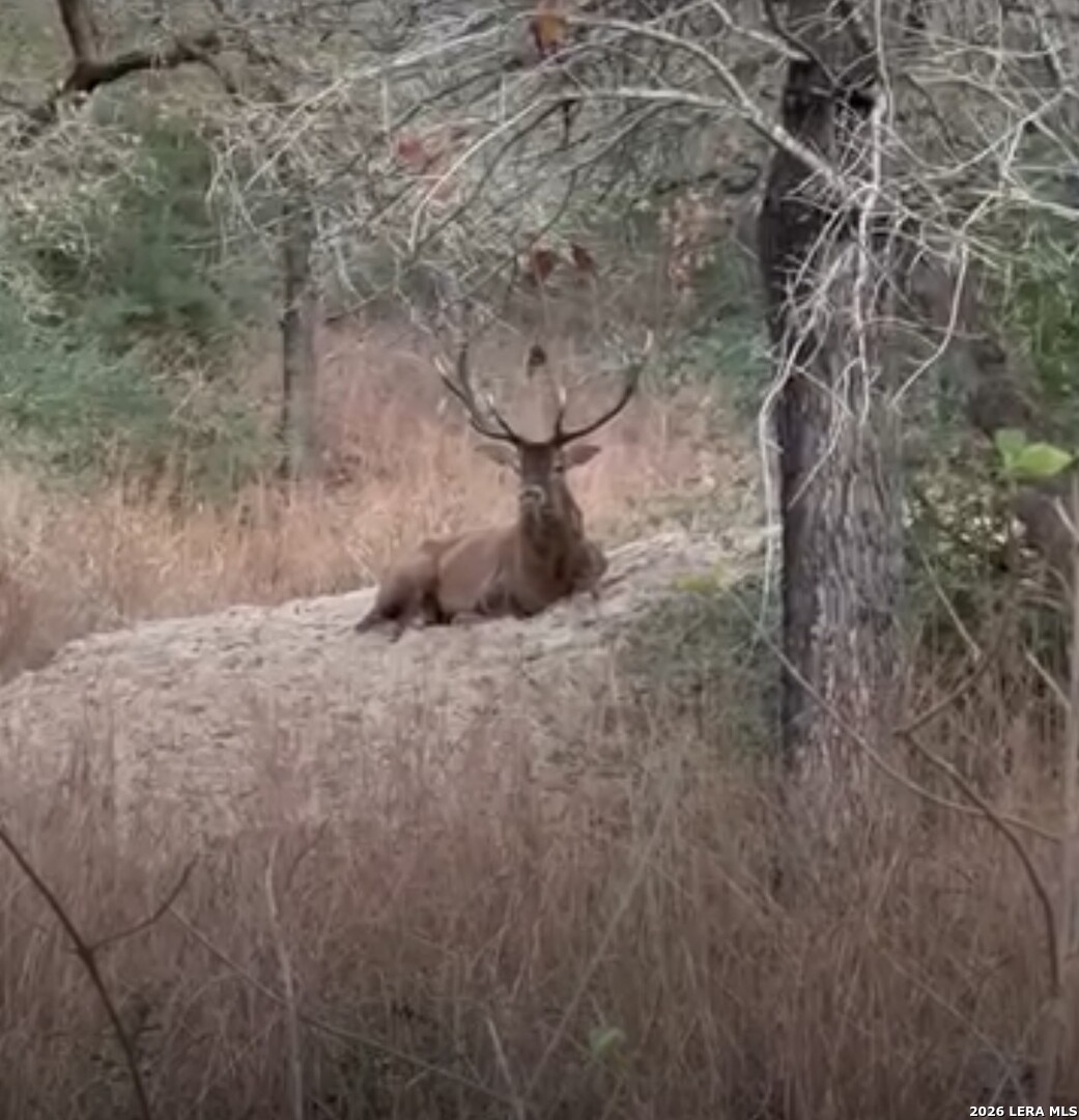 69 Powder Ridge Luling TX 78648
