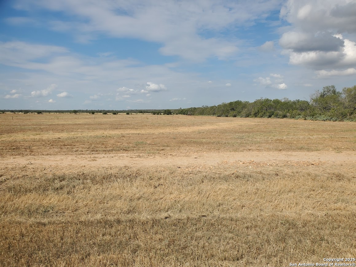978 County Road 1670 Moore TX 78057