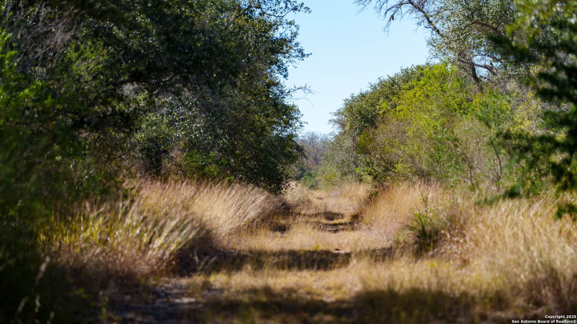 000 County Road 405 Beeville TX 78102