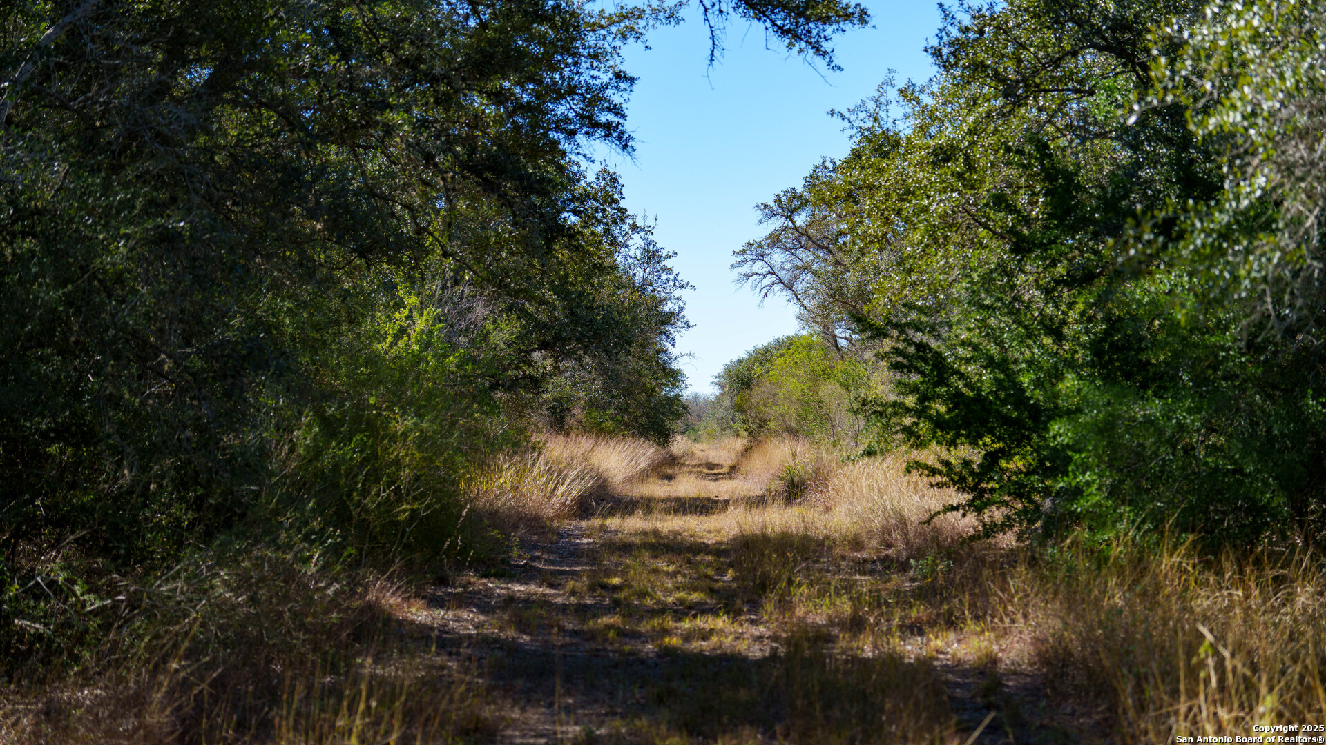 000 County Road 405 Beeville TX 78102