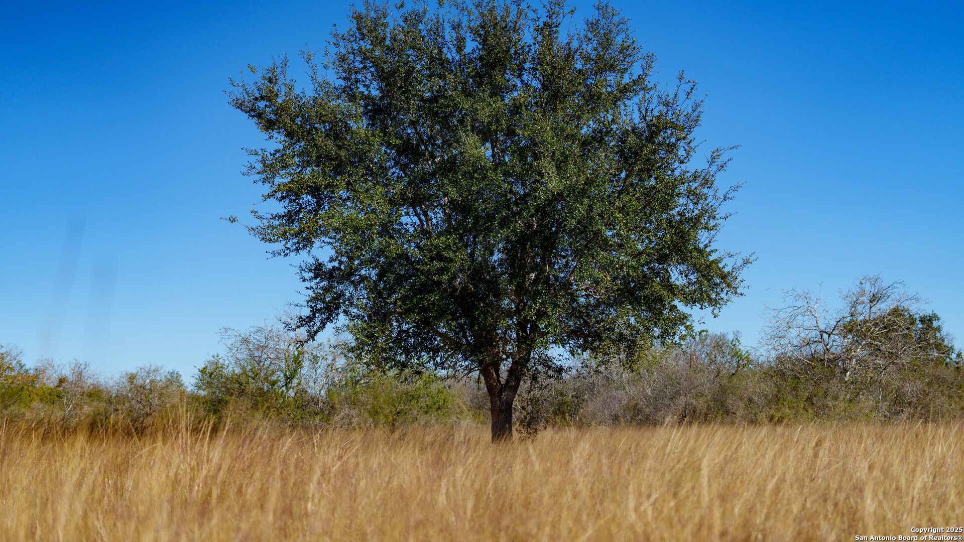 000 County Road 405 Beeville TX 78102