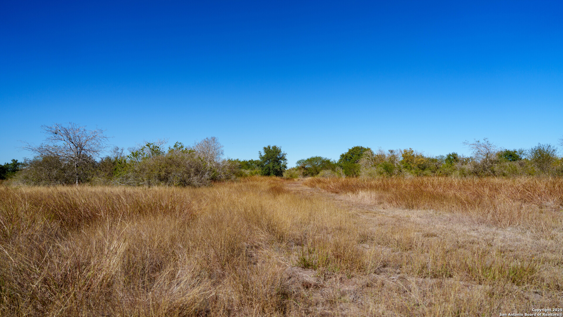 000 County Road 405 Beeville TX 78102